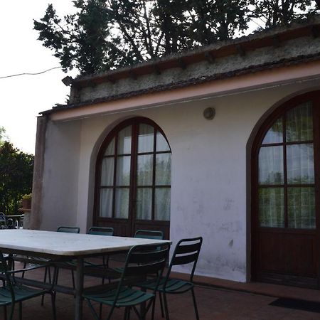 Agriturismo La Fidanza San Gimignano Bagian luar foto